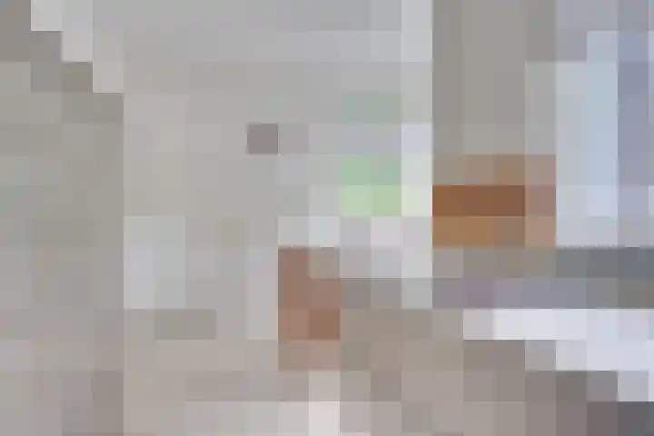 Graslelie 46 Eindhoven thumbnail 11