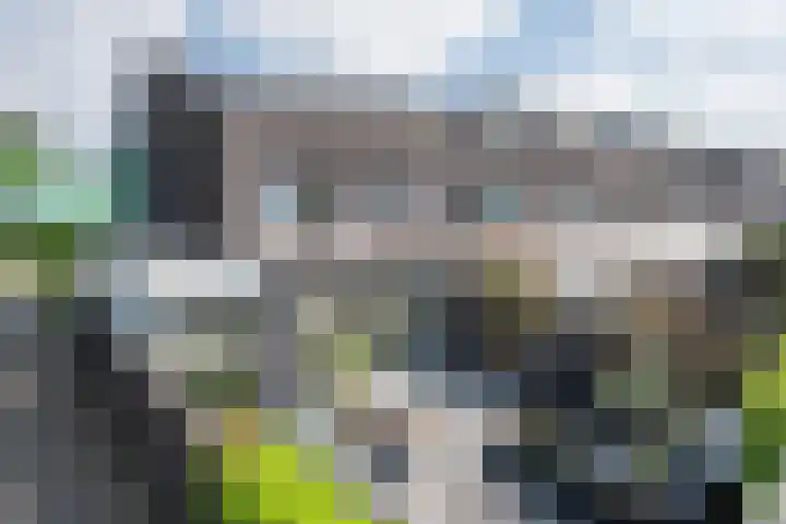 Graslelie 46 Eindhoven thumbnail 28