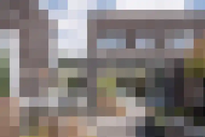 Graslelie 46 Eindhoven thumbnail 29