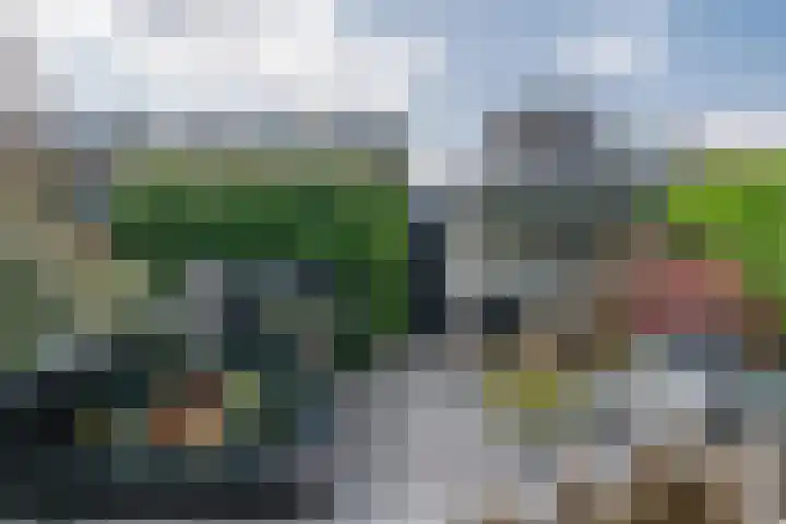 Graslelie 46 Eindhoven thumbnail 32