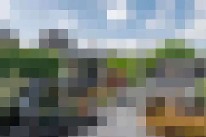 Graslelie 46 Eindhoven thumbnail 35