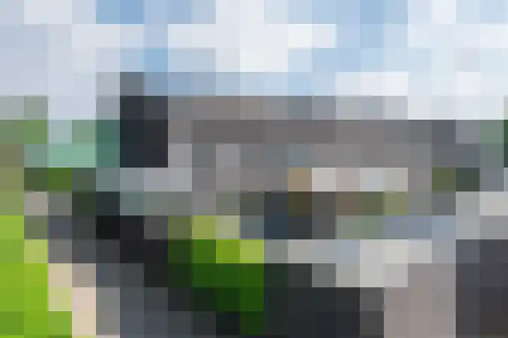 Graslelie 46 Eindhoven thumbnail 39
