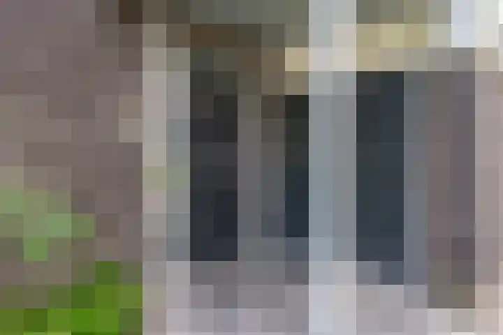 Graslelie 46 Eindhoven thumbnail 40