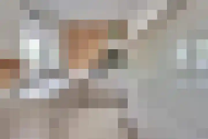 Graslelie 46 Eindhoven thumbnail 9