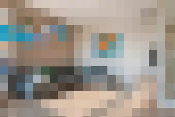 Graslinnen 45 Eindhoven thumbnail 11