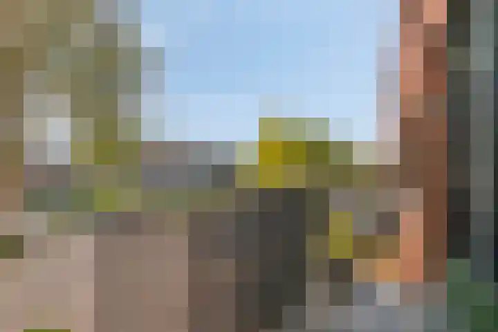 Graslinnen 45 Eindhoven thumbnail 15
