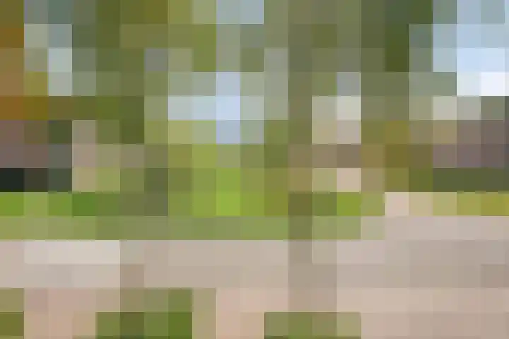 Graslinnen 45 Eindhoven thumbnail 16
