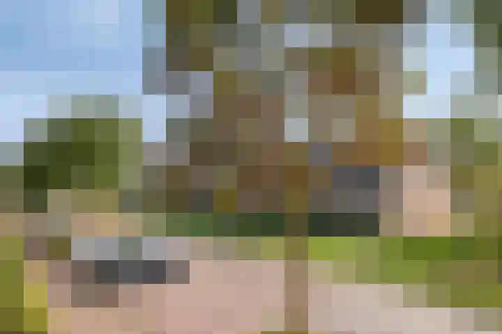 Graslinnen 45 Eindhoven thumbnail 17