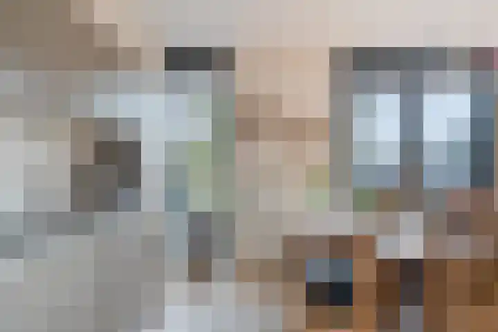 Graslinnen 45 Eindhoven thumbnail 21