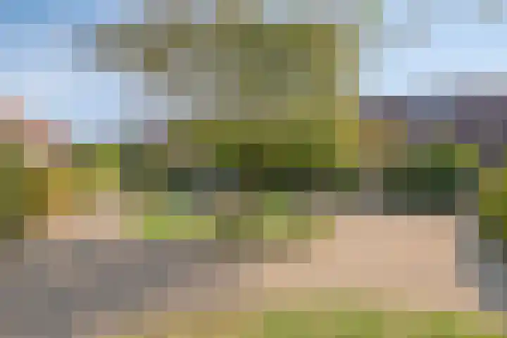Graslinnen 45 Eindhoven thumbnail 33