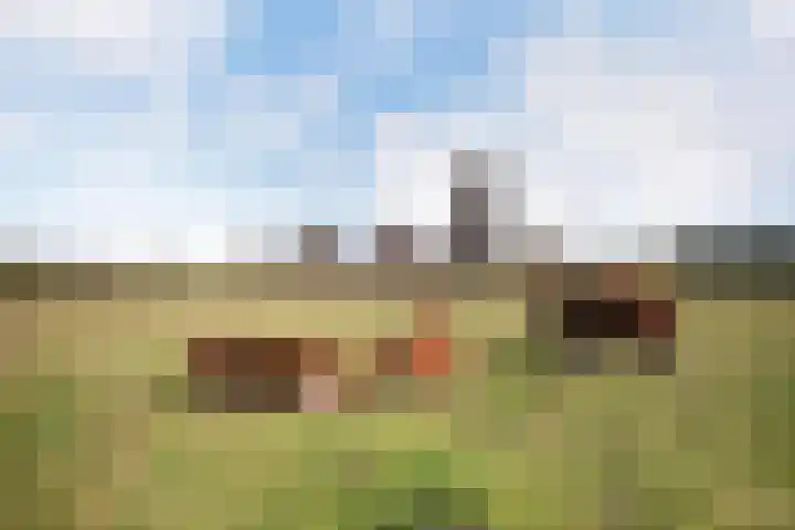 Graslinnen 45 Eindhoven thumbnail 35