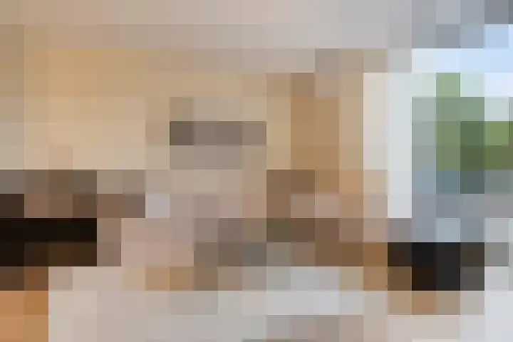 Graslook 4 Eindhoven thumbnail 12