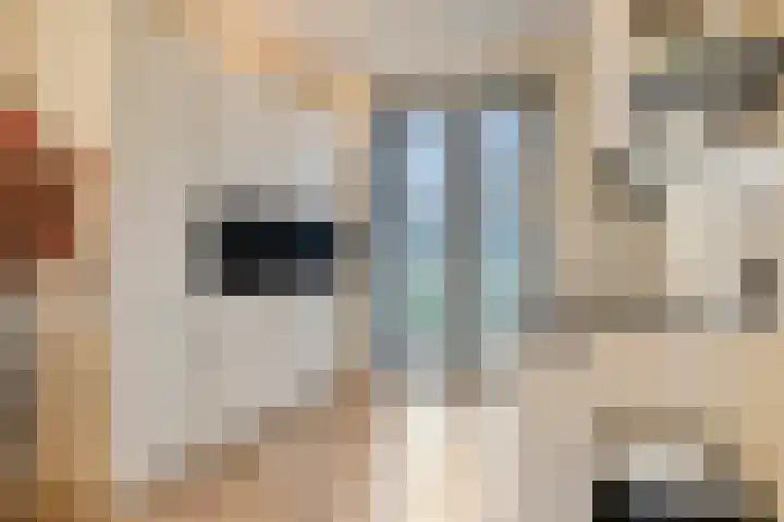 Graslook 4 Eindhoven thumbnail 14