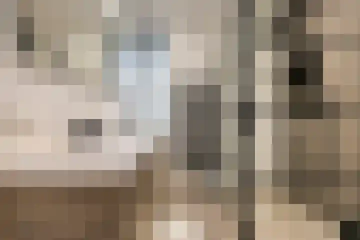 Graslook 4 Eindhoven thumbnail 26