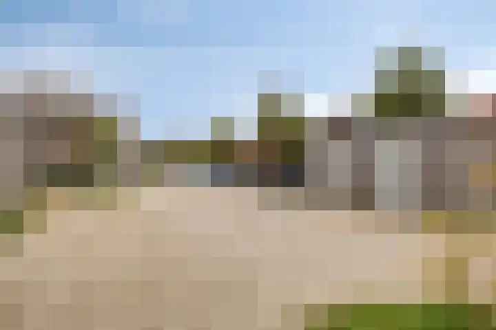 Graslook 4 Eindhoven thumbnail 32