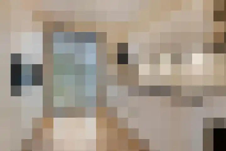 Graslook 4 Eindhoven thumbnail 4