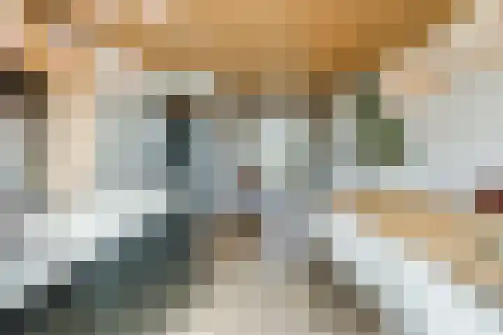Graslook 44 Eindhoven thumbnail 11