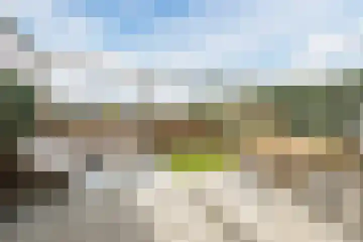 Graslook 44 Eindhoven thumbnail 31