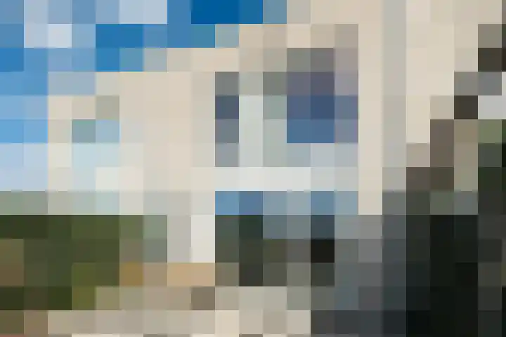 Graslook 44 Eindhoven thumbnail 33