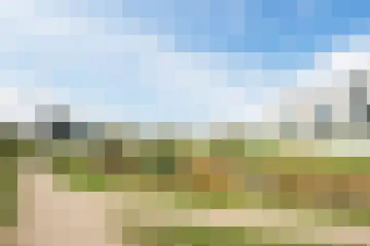 Graslook 44 Eindhoven thumbnail 36