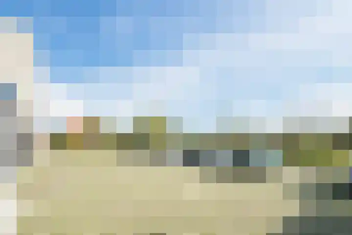 Graslook 44 Eindhoven thumbnail 37
