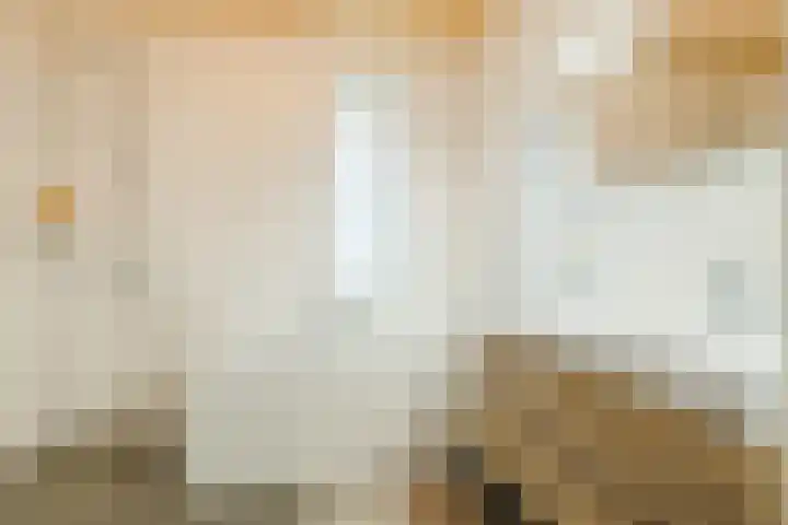 Graslook 44 Eindhoven thumbnail 4