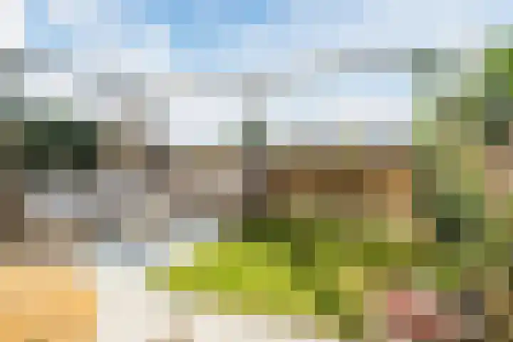 Graslook 44 Eindhoven thumbnail 5