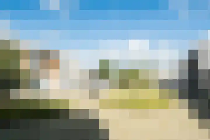 Graslook 44 Eindhoven thumbnail 6
