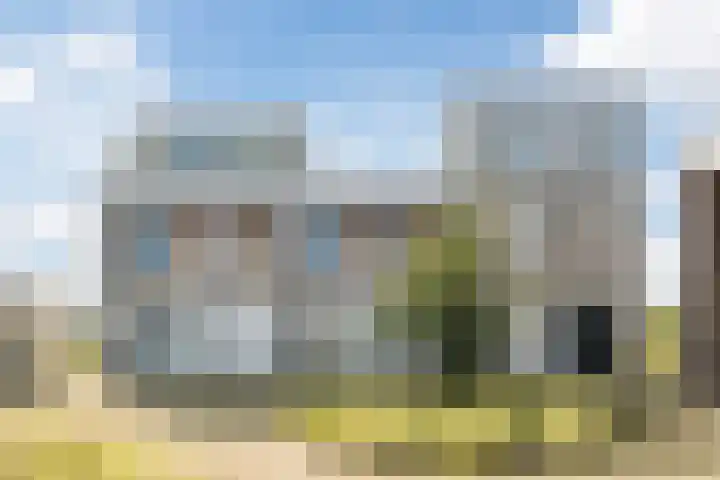 Graslook 44 Eindhoven thumbnail 8