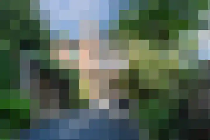Grasmeent 6 Almere thumbnail 37