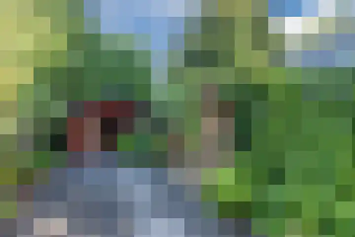 Grasmeent 6 Almere thumbnail 39