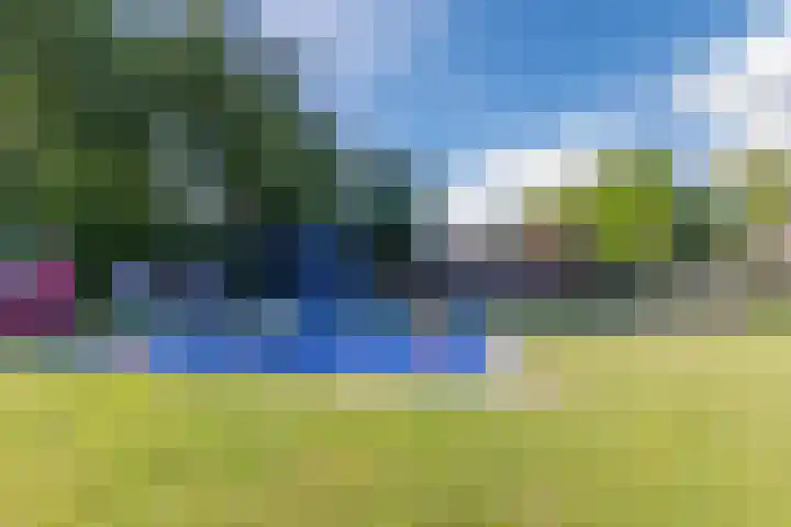 Grasmeent 6 Almere thumbnail 43