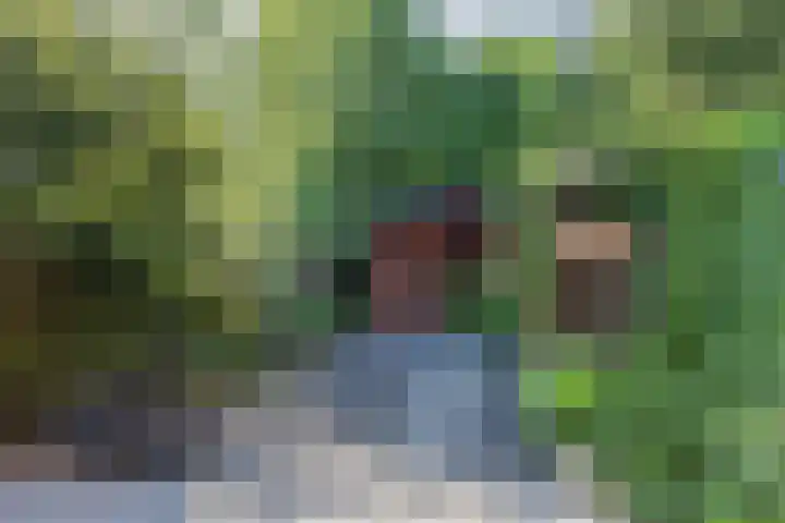 Grasmeent 6 Almere thumbnail 6