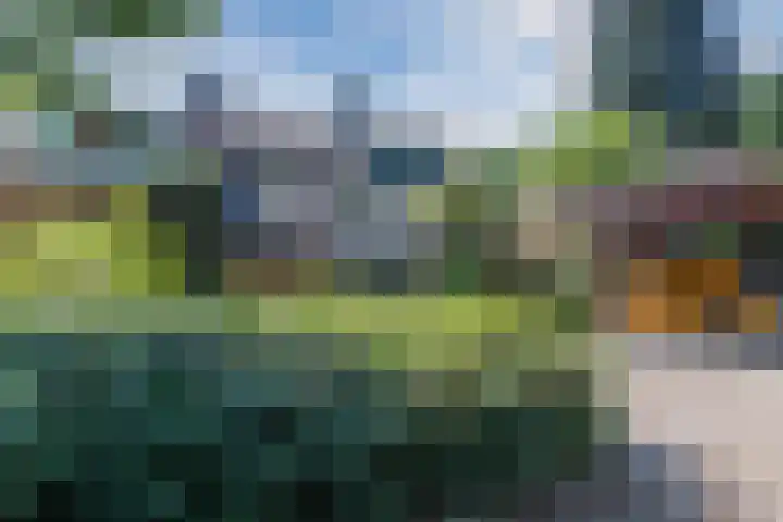 Grasmeent 6 Almere thumbnail 8