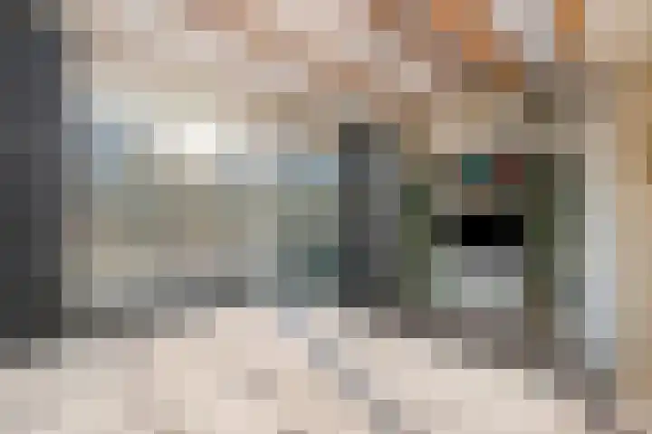Grasmeent 93 Almere thumbnail 44