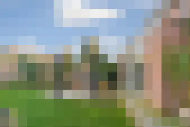 Grasmeent 93 Almere thumbnail 50