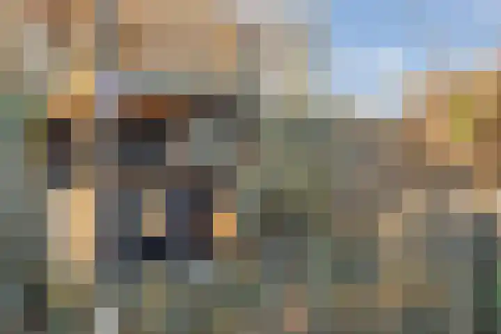 Grasmeent 93 Almere thumbnail 56