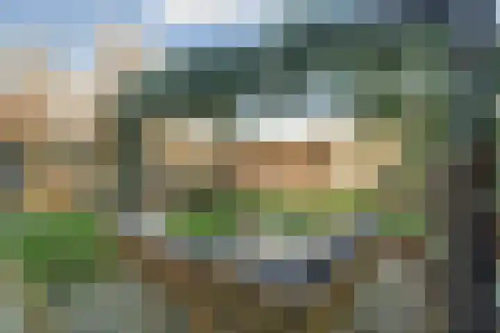 Grasmeent 93 Almere thumbnail 58