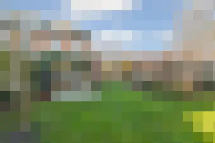 Grasmeent 93 Almere thumbnail 6