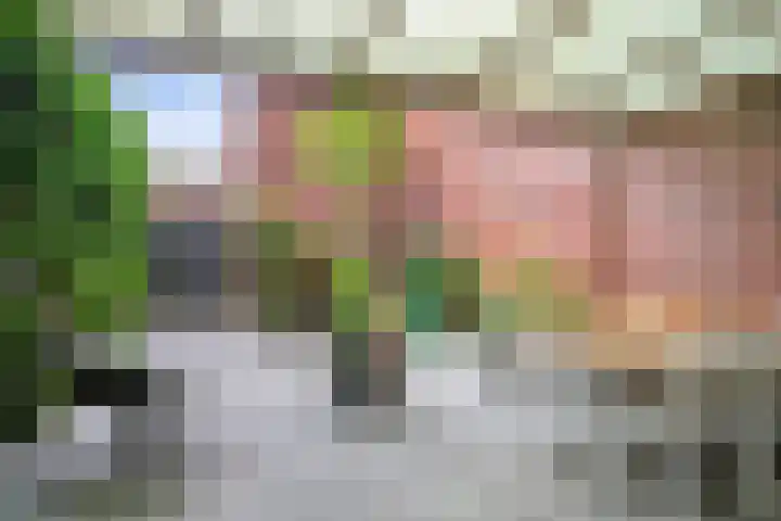 Grasmier 2 Eindhoven thumbnail 28