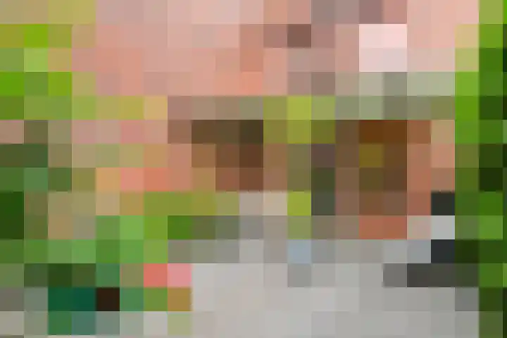 Grasmier 2 Eindhoven thumbnail 31