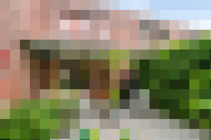 Grasmier 2 Eindhoven thumbnail 32
