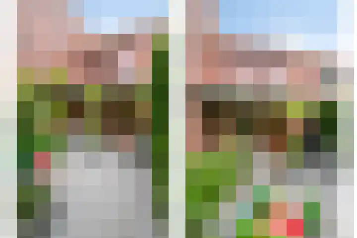 Grasmier 2 Eindhoven thumbnail 33