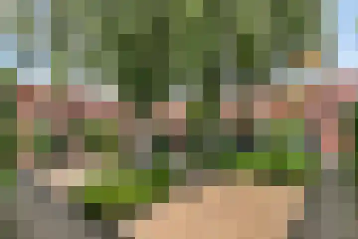 Grasmier 2 Eindhoven thumbnail 35