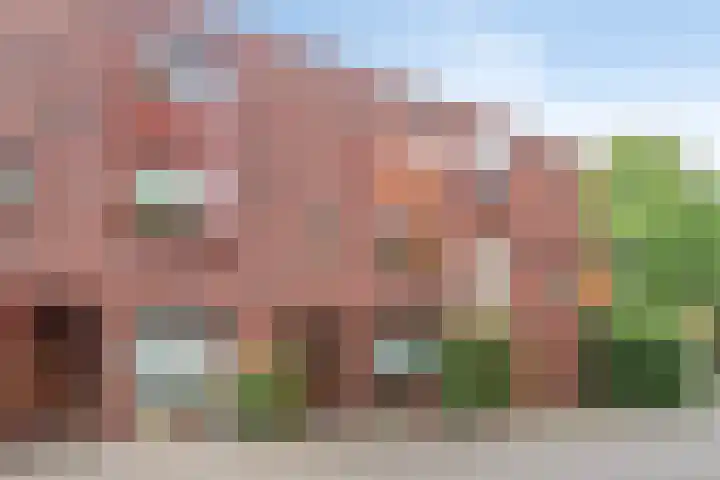 Grasmier 2 Eindhoven thumbnail 8