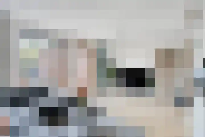Grasmier 7 Eindhoven thumbnail 15
