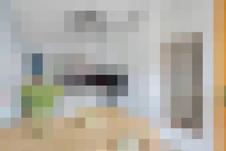 Grasmier 7 Eindhoven thumbnail 18