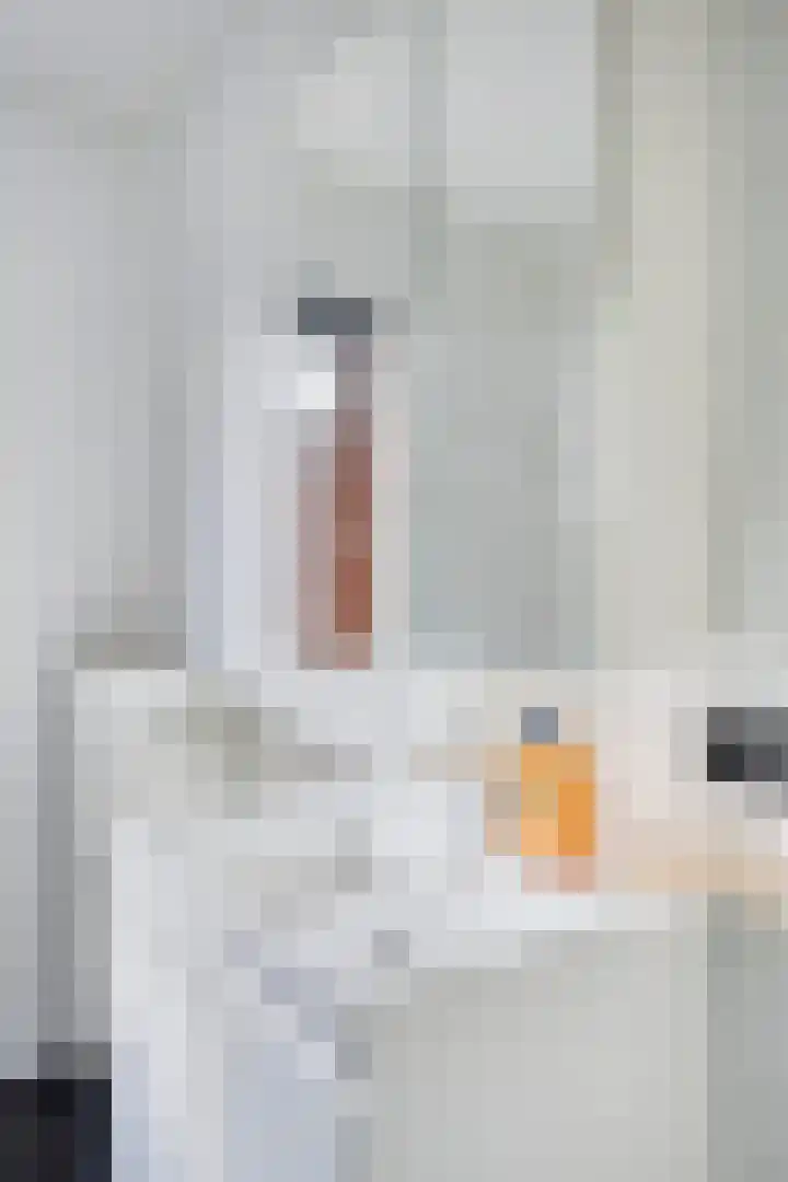 Grasmier 7 Eindhoven thumbnail 28