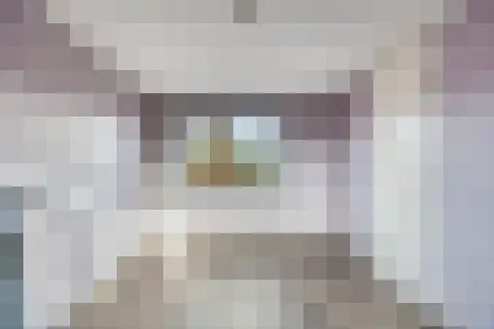 Grasmier 7 Eindhoven thumbnail 32