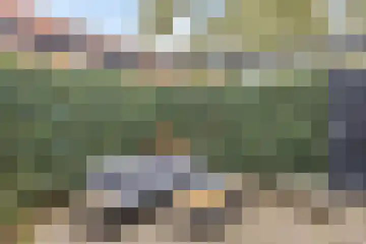 Grasmier 7 Eindhoven thumbnail 34